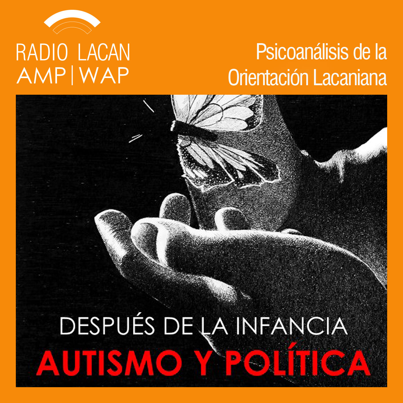 RadioLacan.com |Foro Internacional sobre Autismo “Después de la infancia. Autismo y Política”.
